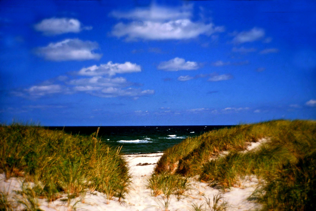 Beach-Grass-Path.jpg