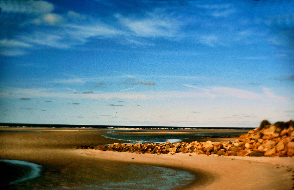 Low-Tide.jpg