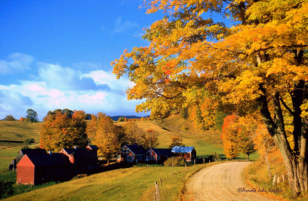 Jenne-Farm,-Reading,-Vermont--2.jpg