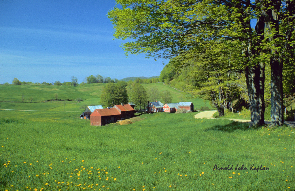 Jenne-Farm-at-Summertime.jpg