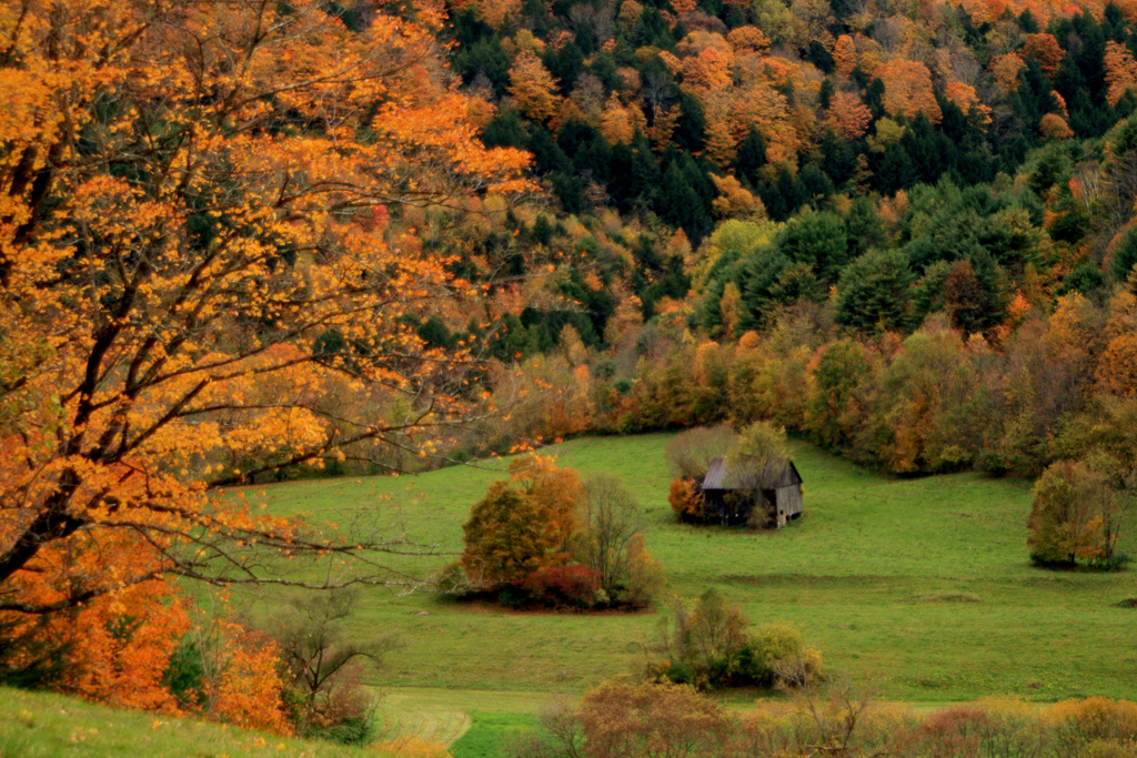 Shack-In-The-Meadow.jpg